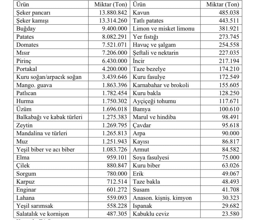 Tarımda da Türkiye’ye rakip olan Mısır’ın tarım ve gıda stratejisi