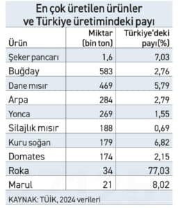 Eskişehir’de sanayi gelişse de tarım önemini koruyor